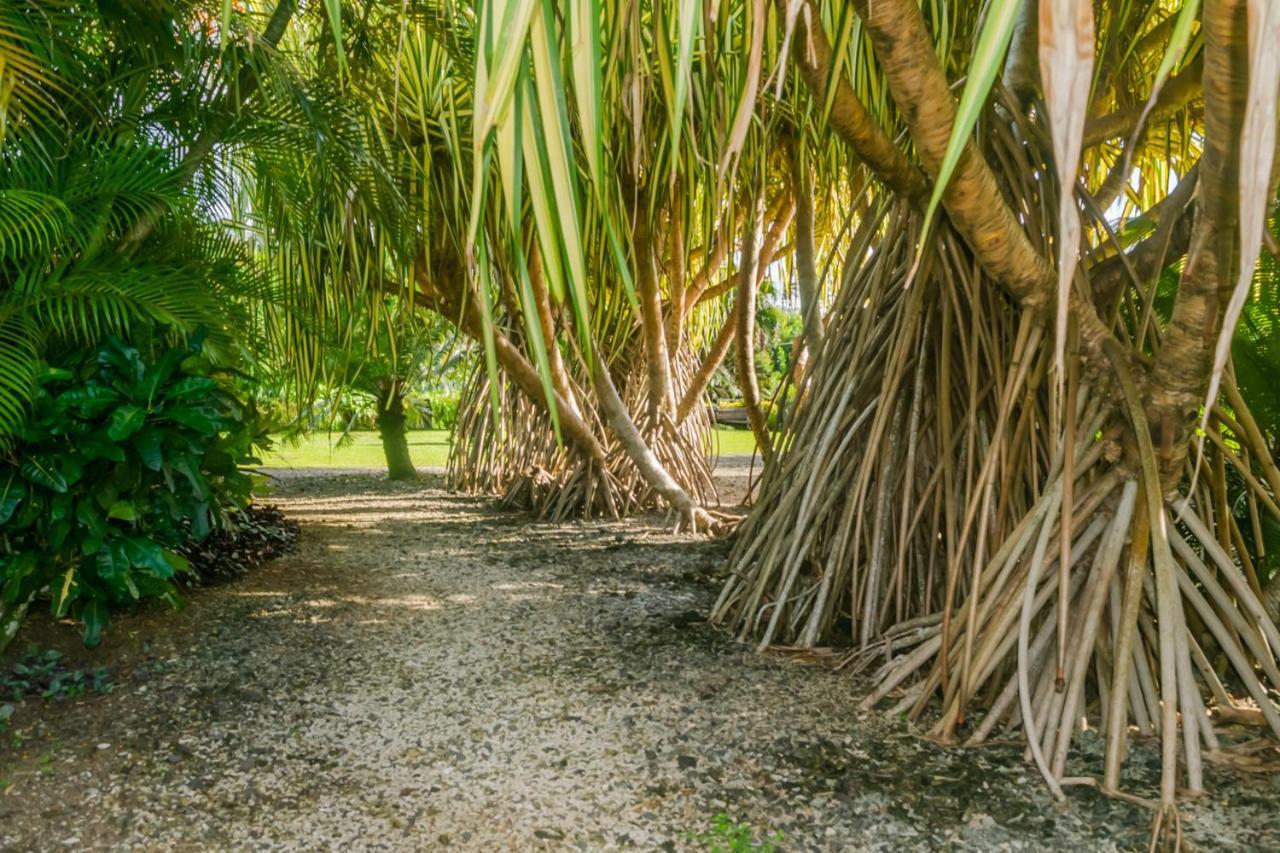 Aroha Taveuni Beachfront Bures Waiyevo Esterno foto